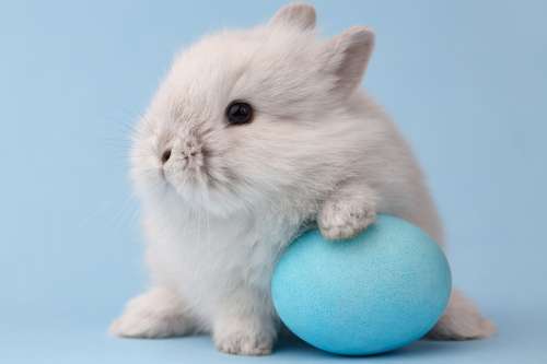 Spa Hotel Centrum image