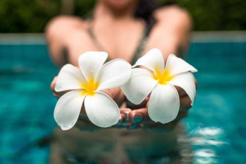 LAST MINUTE - Summer at the Olympia Spa & Wellness Hotel Olympia - LAST MINUTE - Summer at the Olympia package image