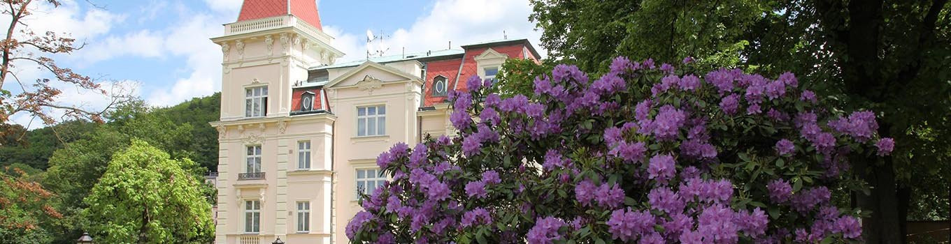 Карловы Вары - Hotel Tereza & Královská vila banner picture