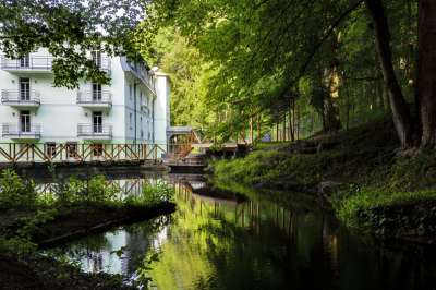Marienbad - Parkhotel Forest picture