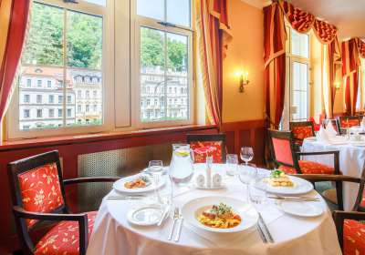 Karlovy Vary - Dvorak Spa & Wellness Hotel Karlovy Vary - Dvorak Spa & Wellness Hotel picture