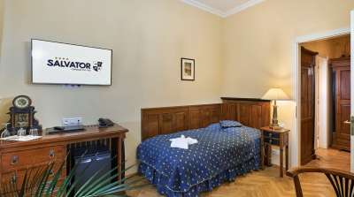 Karlsbad - Wellness Hotel Salvator picture