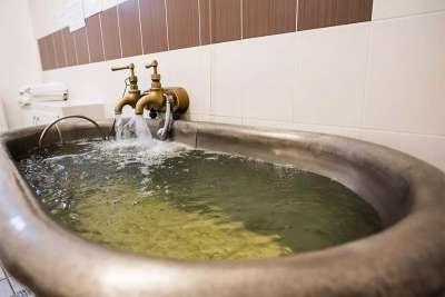 Карловы Вары - Windsor Spa Hotel picture