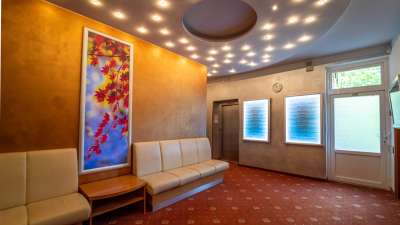 Mariánské Lázně - Spa Hotel Richard picture