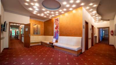 Mariánské Lázně - Spa Hotel Richard picture