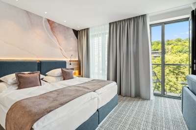 Karlsbad - Spa Royal Regent picture