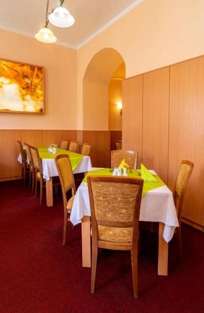 Mariánské Lázně - Kurhotel Paris picture