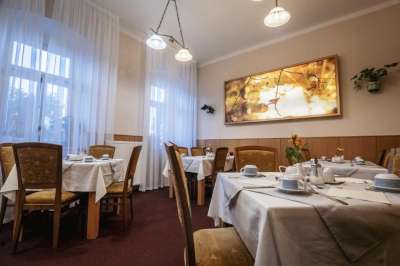 Mariánské Lázně - Kurhotel Paris picture